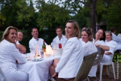 Dîner en blanc Le Vésinet