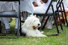Les 2 photographes / myvesinet.com